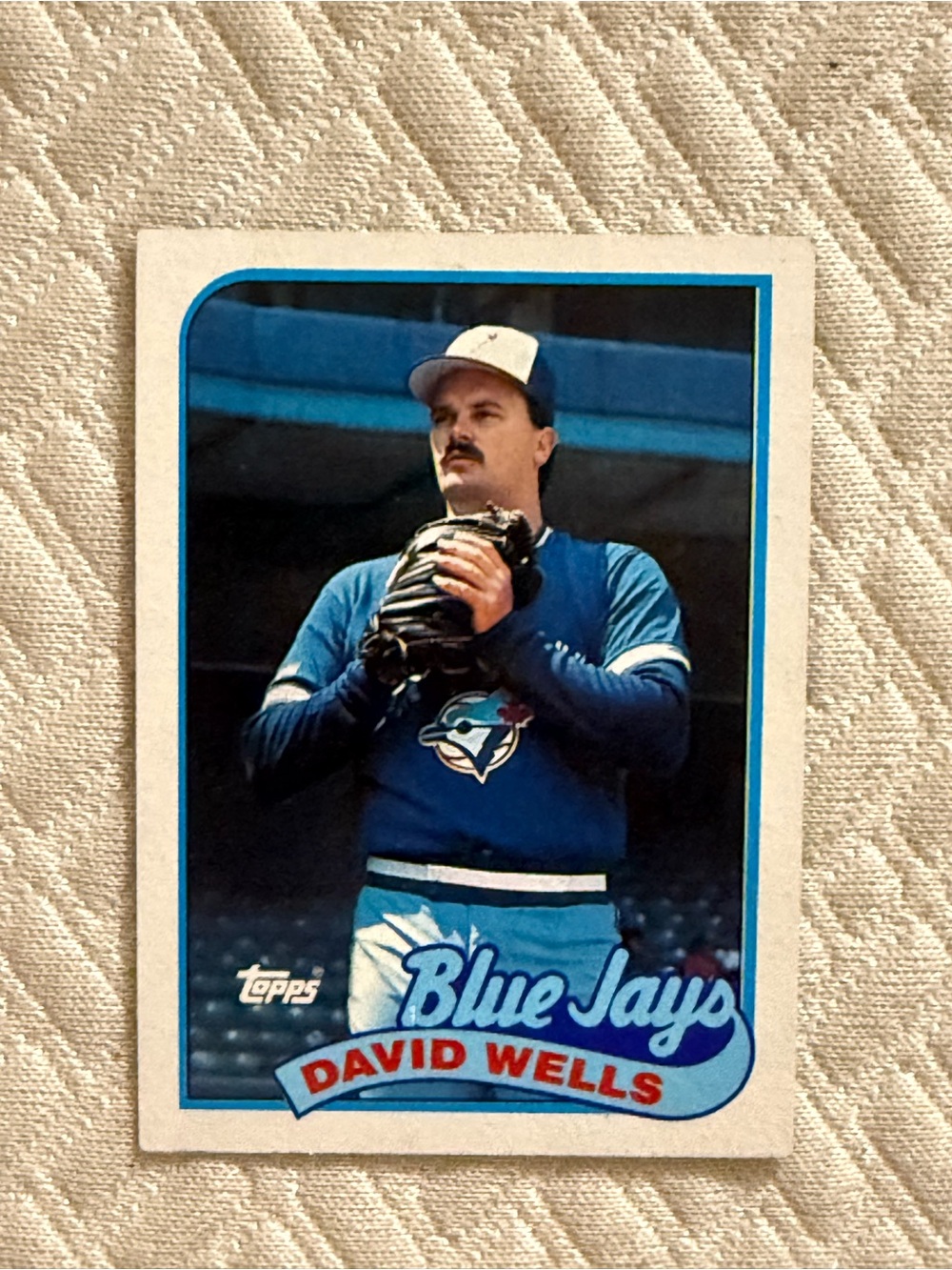Topps Red and Black David Wells Baseball Card Back